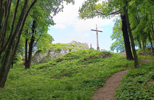 Jura - Chata pod Grodziskiem Pańskim - Foto 15
