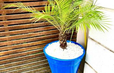 Casa na Linda Praia de Paúba! Condomínio Tranquilo - 150 metros do Mar!!! - Foto 25