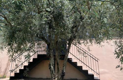 Agriturismo Gianferrante - Foto 67