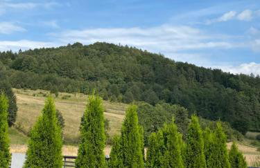 Domek pod Sosnową Górą - Foto 8