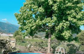 Villa SouAri 10' da Forte de Marmi - 2km spiaggia - Foto 10