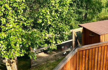 Indian AK 25 min to Anchorage & 25 min to Girdwood - Foto 64