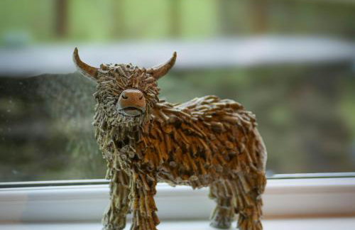 Cosy cottage in rural Culmington, Ludlow - Photo 12