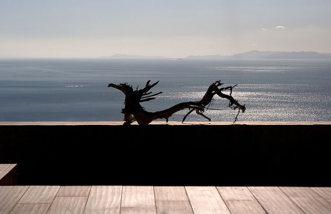 Marathon Blue - Foto 22