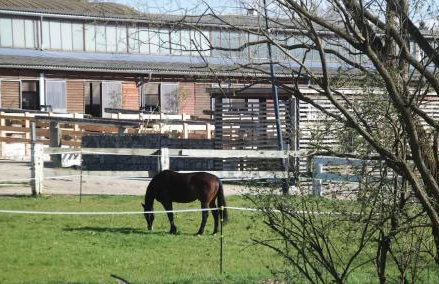 HexenburgbeiDresden mit Faßsauna 4 Raum Architektengaleriewohnung mit Whirlwanne, Kamin, Balkon-Nähe Sächsische Schweiz Dresden - Foto 25