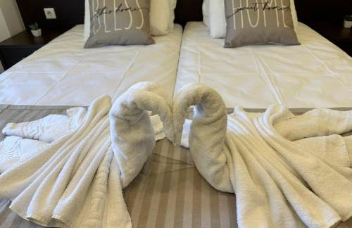 Shades of Olive - Photo 5