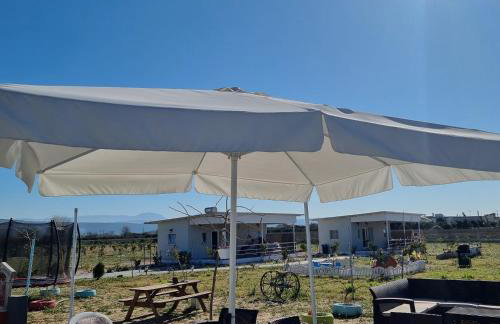 Agroktima Arta - Farm Stay - Foto 18