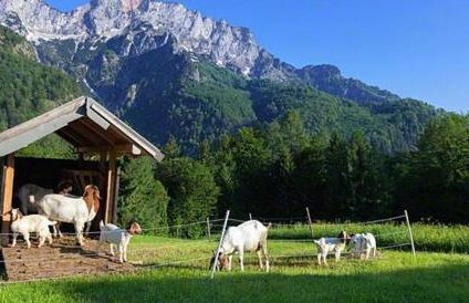 Ferienwohnung Lippenlehen - Foto 7