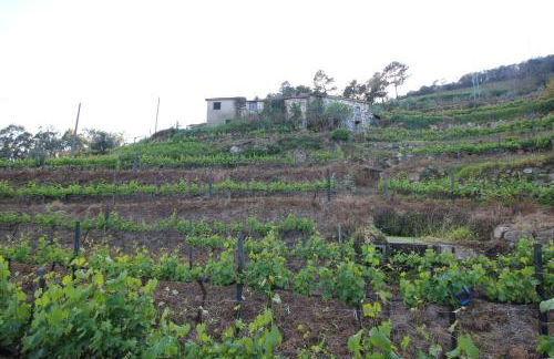 Casas do Campo da Moita - Foto 64