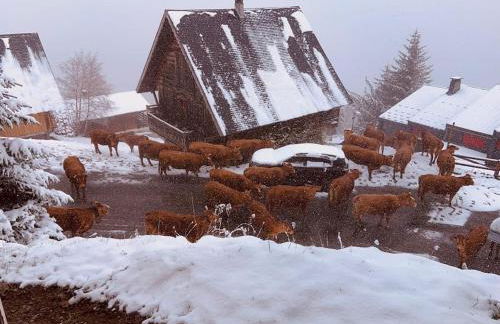 Chalet 6-8 pers St Lary Alt1700m -100mdespistes classé 4 étoiles - Photo 39