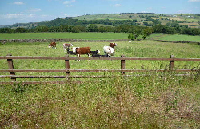 Padley Farm - Foto 76