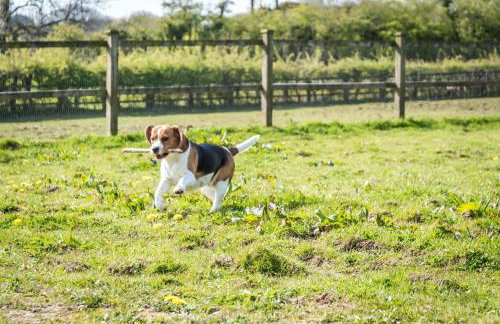 Primrose - 1 Bedroom Cottage - Llanteg - Foto 20