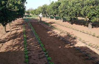 Agriturismo Santa Chiara - Foto 121