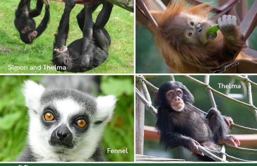 Pitt Cottage - Photo 28