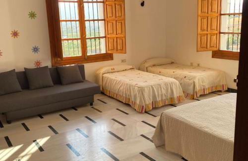 Hacienda Los Olivos Alora Grupos grandes Fiestas Pista de padel - Foto 54