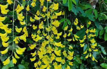 Casa Marina - Photo 14