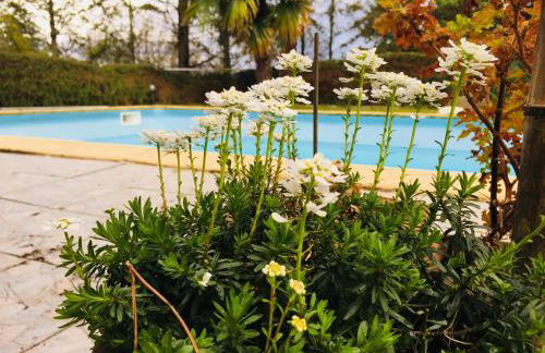 Gîte Le Bellevue avec piscine privative - climatisation - Foto 12