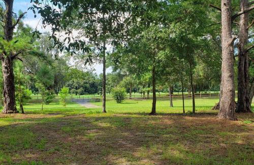 Little Ridge Ranch-East House Quiet Country Getaway-Pet Friendly! - Foto 33