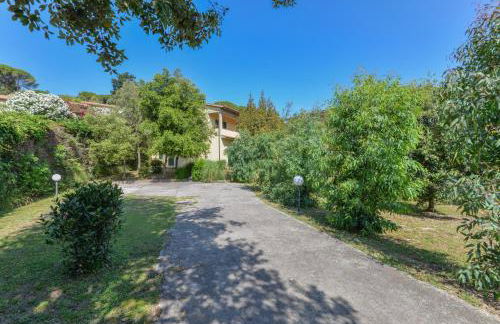 Casa Castagnola - Foto 22