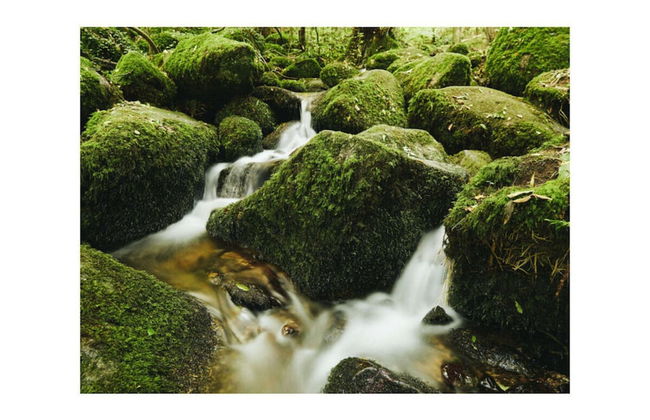 Oma Ludwin 1 Comfortable Holiday Residence - Foto 19