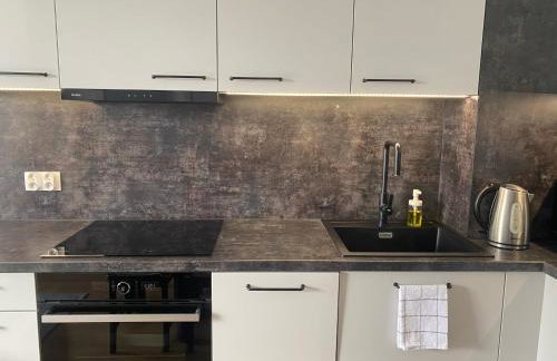 Apartament Dekerta bezpłatny GARAŻ - Foto 11