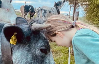 Allgäu Ferienhof Schönberger - Photo 19