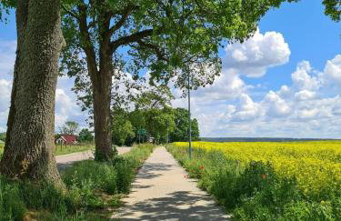 Mieszkanie nad jeziorem Olsztyn - Photo 27