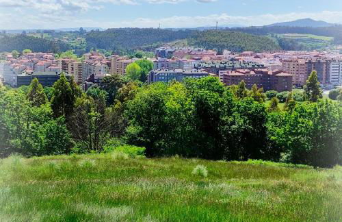 AMORES DE ASTURIAS - Foto 25