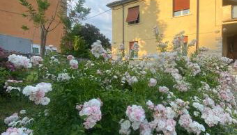 Casa Vacanza Alle Pratoline covered parking for bicycles and motorcycles - Foto 2