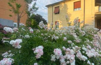 Casa Vacanza Alle Pratoline covered parking for bicycles and motorcycles - Foto 21