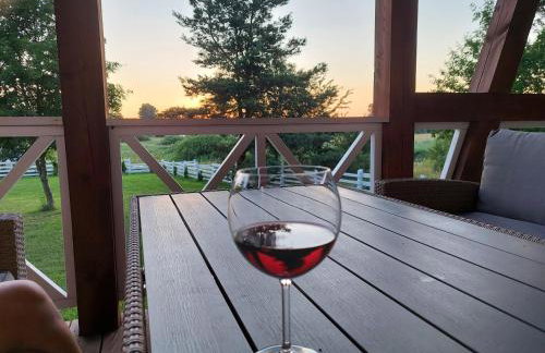 Greyówka dom kryty strzechą w Gardna Park - Foto 9