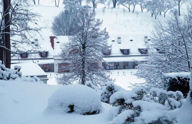 Schloss Thalheim - Photo 61