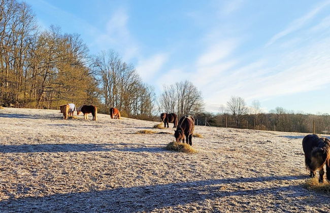7 Person Holiday Home in Karlskrona - Photo 3