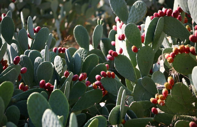 Borgo Valle Rita - Country Resort - Foto 50