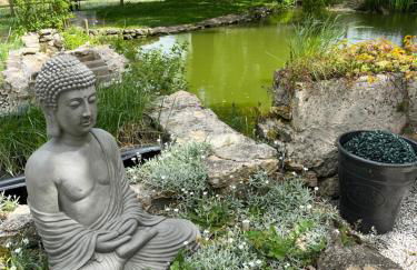 Domaine Saladry - Foto 10