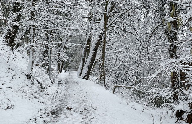 Flat in Eutin on the Kleiner Eutiner See Lake - Photo 19