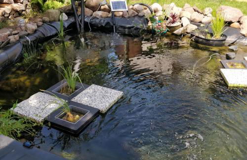 Gästehaus am Teich - Foto 47