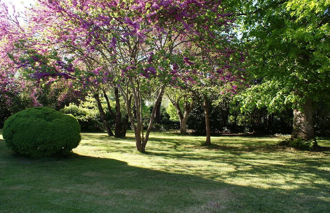 Chateau de Grenier Gite - Foto 18