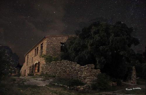 Mas del Salin - Foto 28