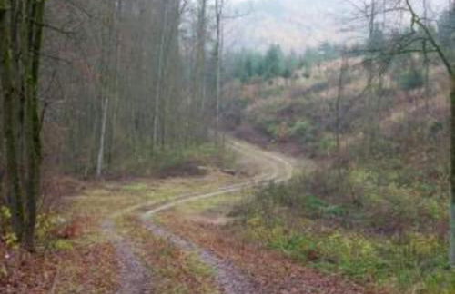 Ferienwohnung in den Hüttenroder Bergen - Foto 32