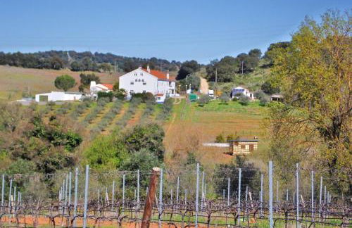 Monte de Stª Margarida - Foto 49