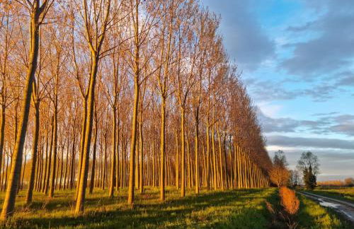 In campagna vicino al mare - Foto 17