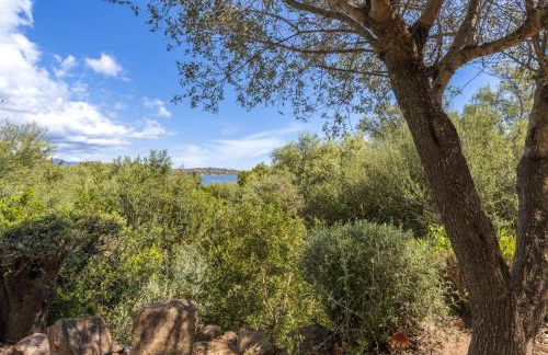 Villa Villa Pavellone by Interhome - Foto 41