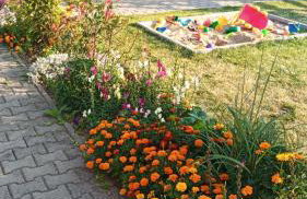 Willa Rubin - Foto 49