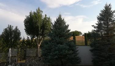 Agriturismo I Tre Ulivi - Foto 3