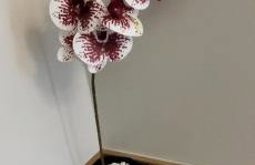 Apartamento cabernet 1 - Foto 16