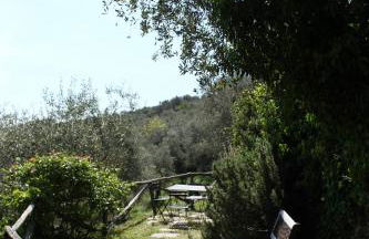 Il Cavedano Innamorato - Foto 1