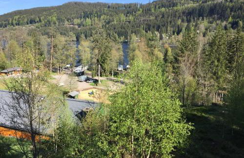 Titisee Haus Vogelnest - Photo 44