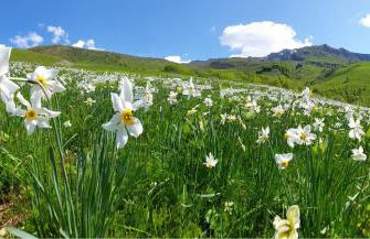 CASA VACANZA NIDO COLLETTO - Foto 26