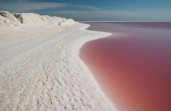 Paradiesische Tour: Las Coloradas Pink Lake und Rio Lagartos inklusive Mittagessen. - Foto 11